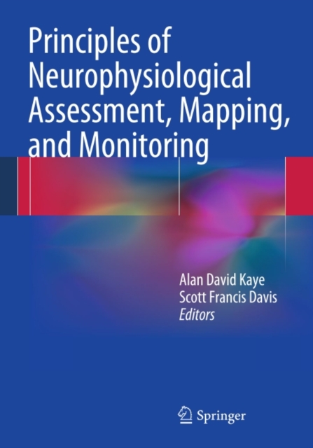 Principles of Neurophysiological Assessment, Mapping, and Monitoring, PDF eBook