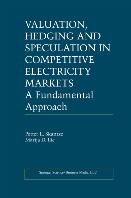 Valuation, Hedging and Speculation in Competitive Electricity Markets : A Fundamental Approach, PDF eBook