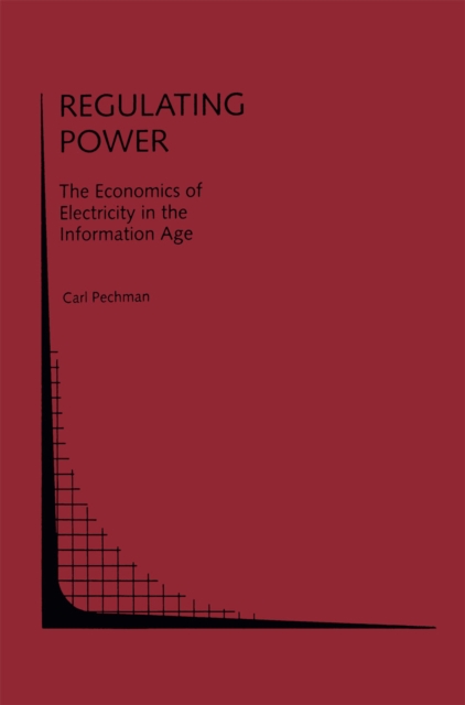 Regulating Power: The Economics of Electrictiy in the Information Age : The Economics of Electricity in the Information Age, PDF eBook