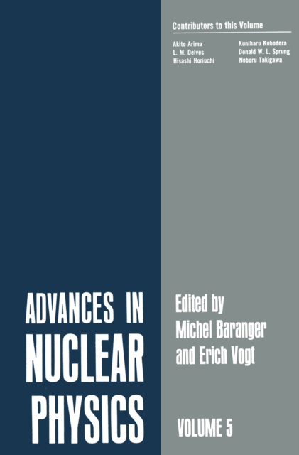 Advances in Nuclear Physics : Volume 5, PDF eBook