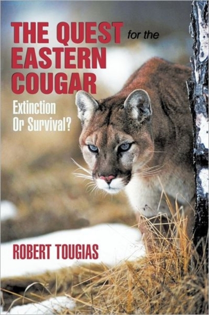 The Quest for the Eastern Cougar : Extinction or Survival?, Paperback / softback Book