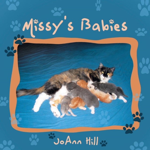 Missy's Babies, Paperback / softback Book