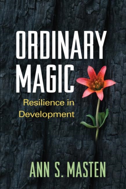 Ordinary Magic : Resilience in Development, Hardback Book