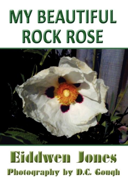 My Beautiful Rock Rose, Hardback Book