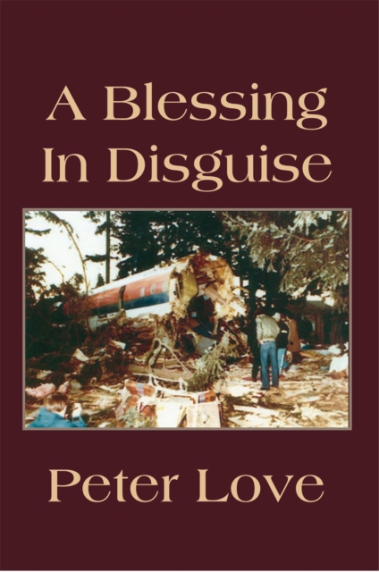 A Blessing in Disguise, EPUB eBook
