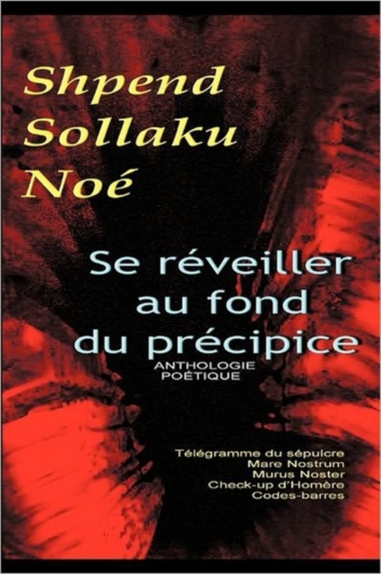 Se Reveiller Au Fond Du Precipice, Paperback / softback Book