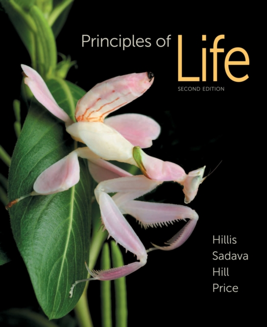 Principles of Life, Paperback / softback Book