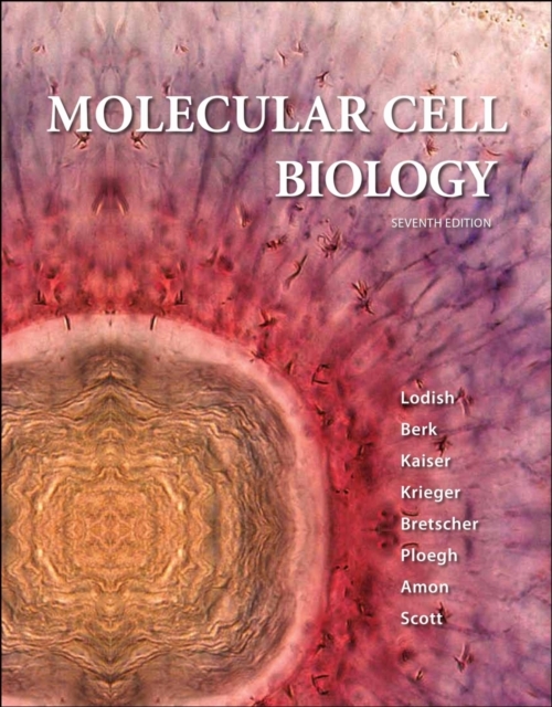 Molecular Cell Biology : International Edition, Hardback Book