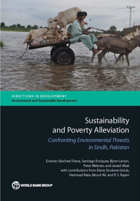 Sustainability and poverty alleviation : confronting environmental threats in Sindh, Pakistan, Paperback / softback Book