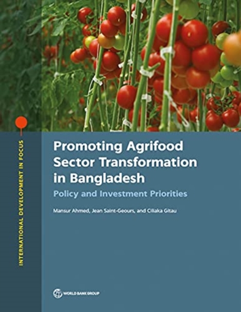 Promoting Agrifood Sector Transformation in Bangladesh : Policy and Investment Priorities, Paperback / softback Book