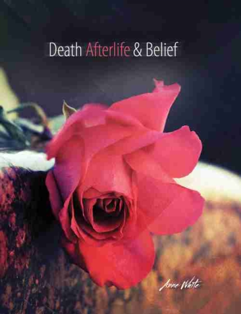 Death Afterlife and Belief, Paperback / softback Book