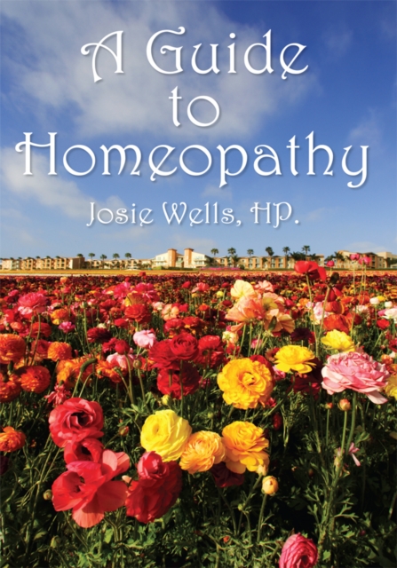 A Guide to Homeopathy, EPUB eBook