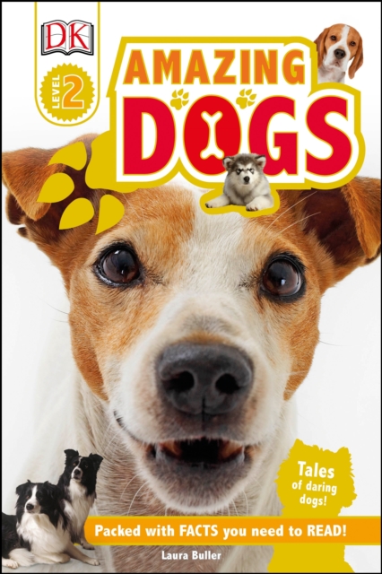 DK Readers L2: Amazing Dogs : Tales of Daring Dogs!, Hardback Book
