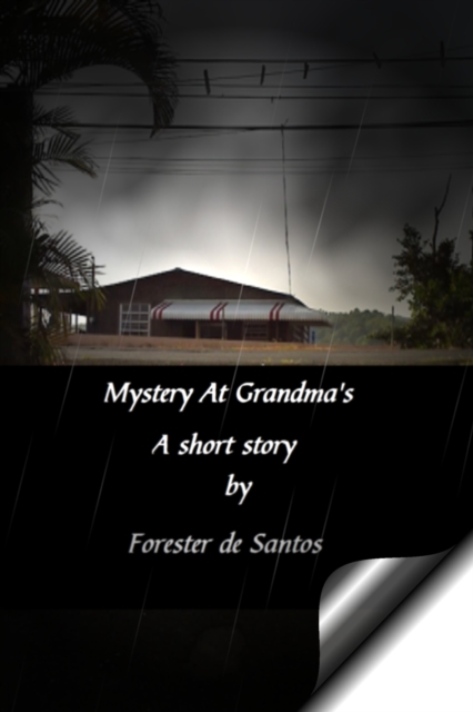Mystery At Grandma's, EPUB eBook