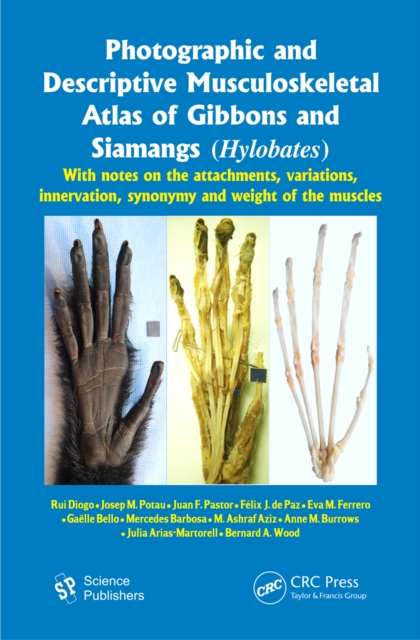 Photographic and Descriptive Musculoskeletal Atlas of Gibbons and Siamangs (Hylobates) : With Notes on the Attachments, Variations, Innervation, Synonymy and Weight of the Muscles, PDF eBook