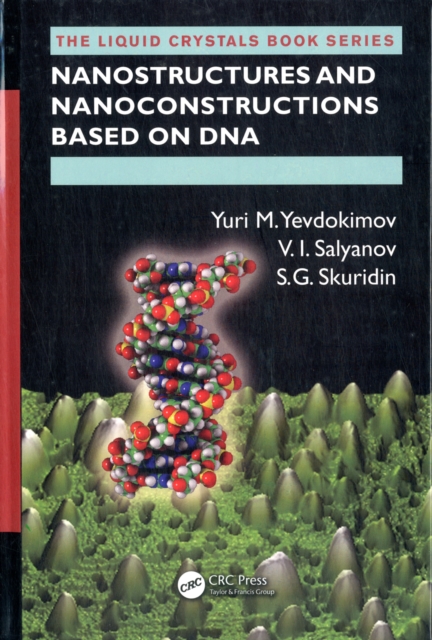 Nanostructures and Nanoconstructions based on DNA, PDF eBook