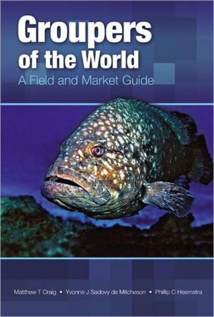 Groupers of the World : A Field and Market Guide, Hardback Book