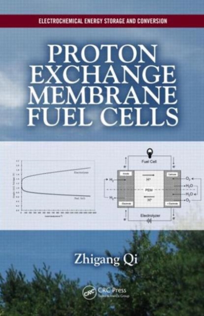 Proton Exchange Membrane Fuel Cells, Hardback Book