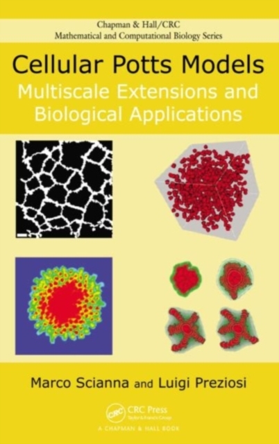 Cellular Potts Models : Multiscale Extensions and Biological Applications, PDF eBook