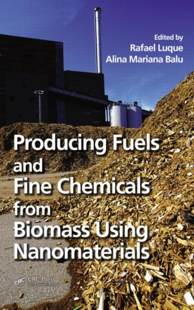 Producing Fuels and Fine Chemicals from Biomass Using Nanomaterials, Hardback Book