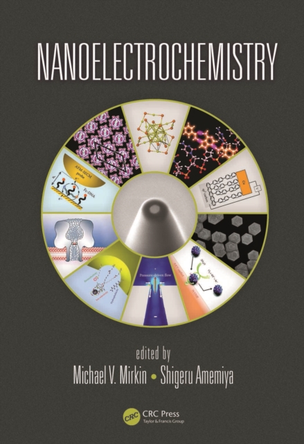 Nanoelectrochemistry, PDF eBook