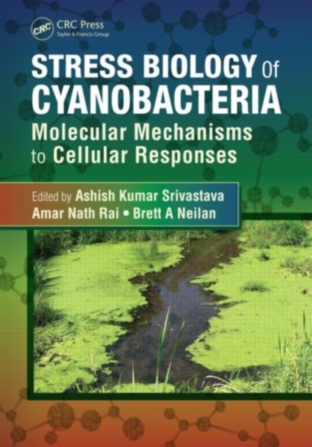 Stress Biology of Cyanobacteria : Molecular Mechanisms to Cellular Responses, PDF eBook