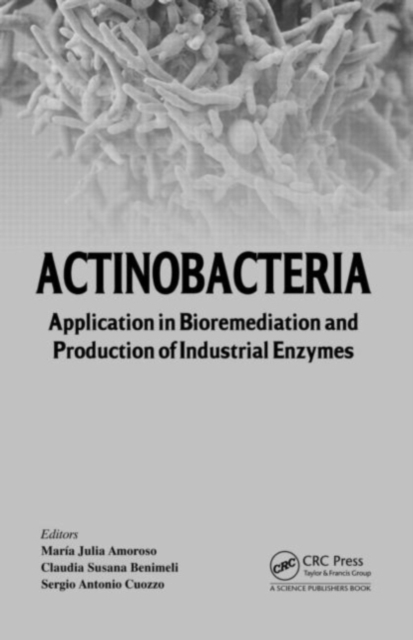 Actinobacteria : Application in Bioremediation and Production of Industrial Enzymes, PDF eBook