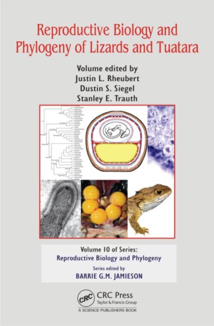 Reproductive Biology and Phylogeny of Lizards and Tuatara, Hardback Book