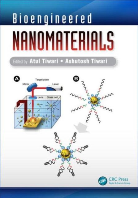Bioengineered Nanomaterials, Hardback Book