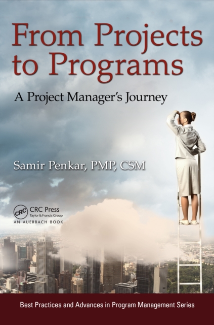 From Projects to Programs : A Project Manager's Journey, PDF eBook