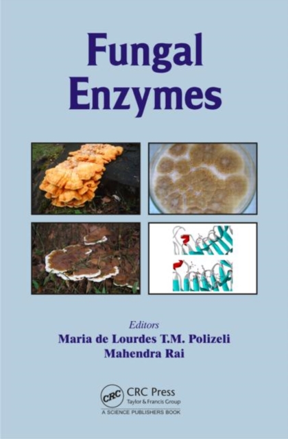 Fungal Enzymes, Hardback Book