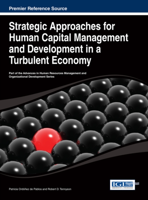 Strategic Approaches for Human Capital Management and Development in a Turbulent Economy, EPUB eBook