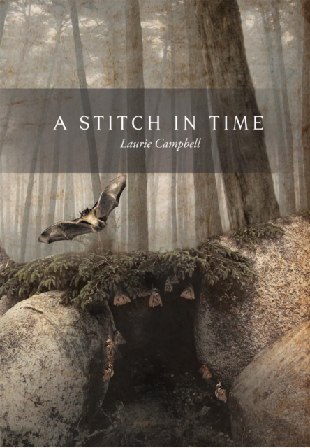 A Stitch in Time, EPUB eBook