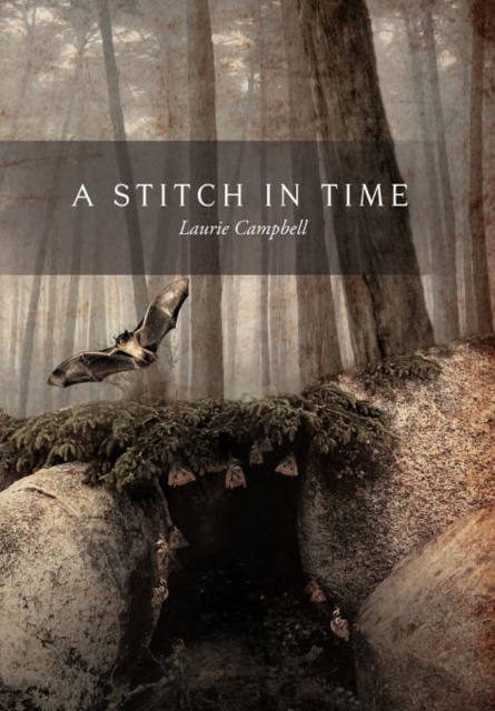 A Stitch in Time, Hardback Book