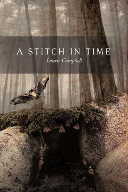 A Stitch in Time, Paperback / softback Book