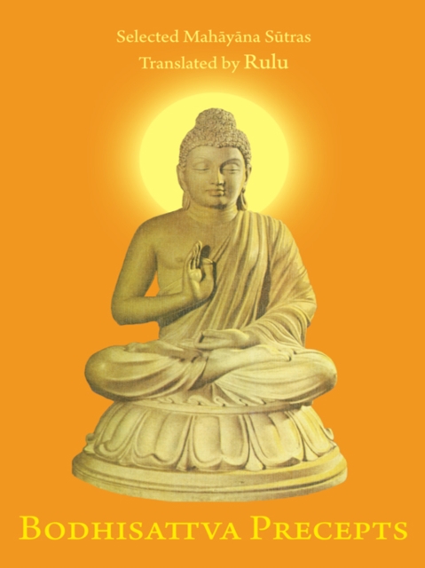Bodhisattva Precepts, EPUB eBook