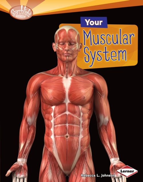 Your Muscular System, PDF eBook