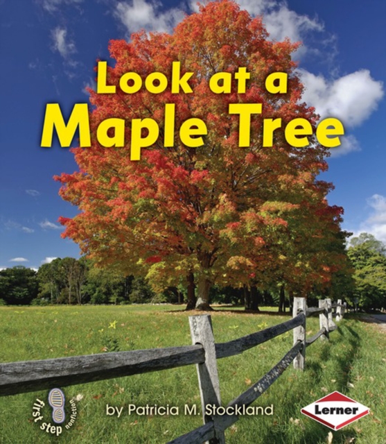 Look at a Maple Tree, PDF eBook