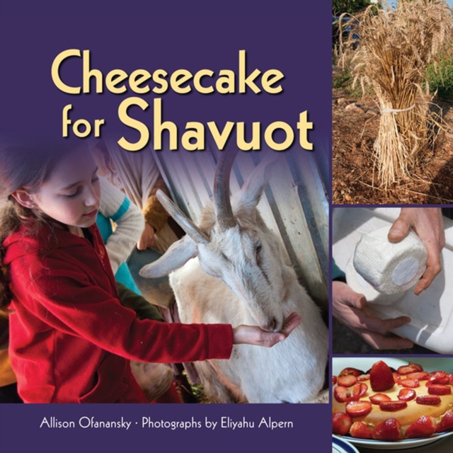 Cheesecake for Shavuot, PDF eBook