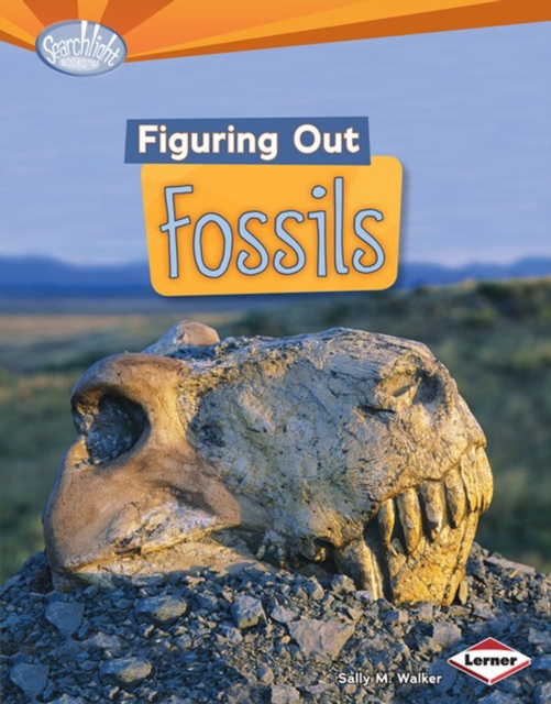 Figuring Out Fossils, PDF eBook