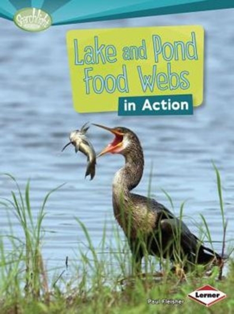 Lake and Pond Food Webs in Action, Paperback / softback Book