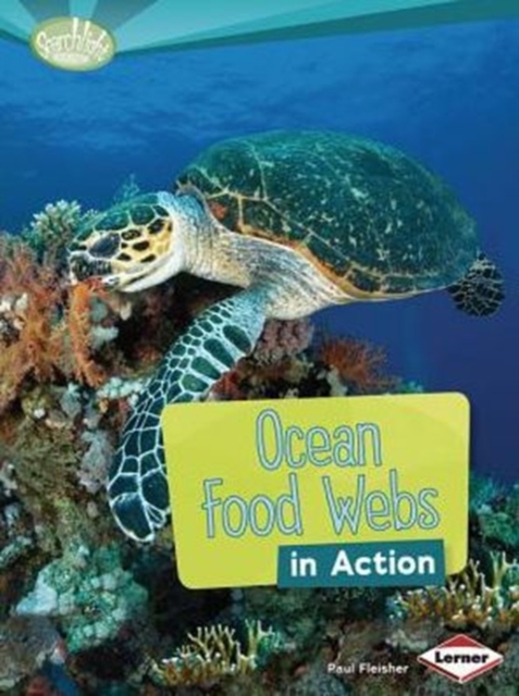 Ocean Food Webs in Action, Paperback / softback Book