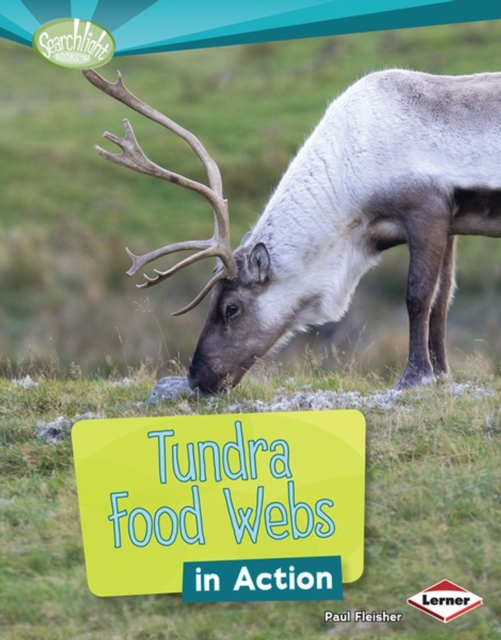 Tundra Food Webs in Action, PDF eBook