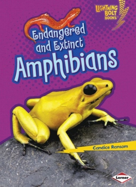 Endangered and Extinct Amphibians, Paperback / softback Book