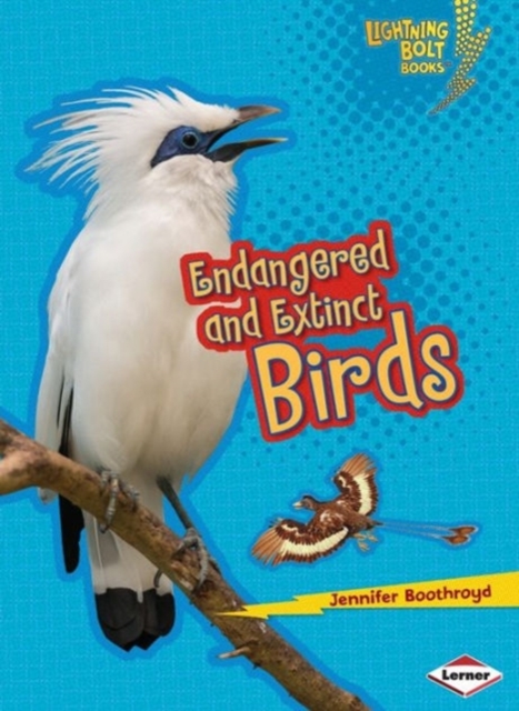 Endangered and Extinct Birds, Paperback / softback Book
