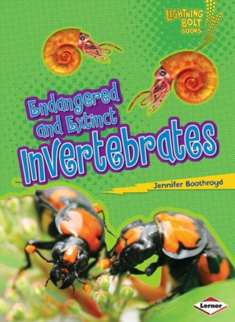 Endangered and Extinct Invertebrates, Paperback / softback Book
