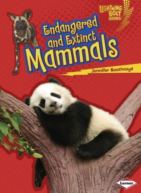 Endangered and Extinct Mammals, Paperback / softback Book