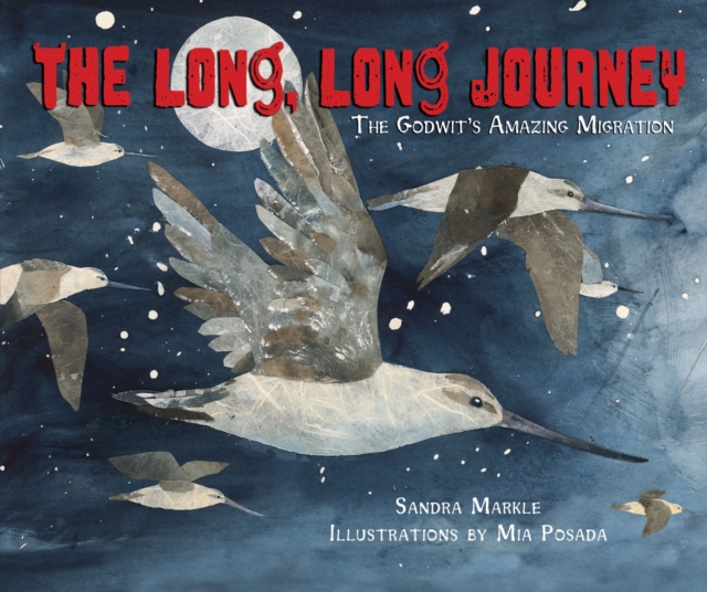 The Long, Long Journey, EPUB eBook