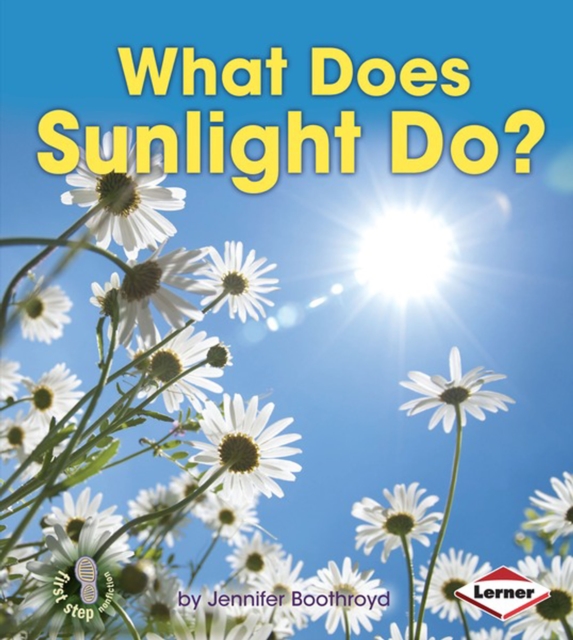What Does Sunlight Do?, PDF eBook