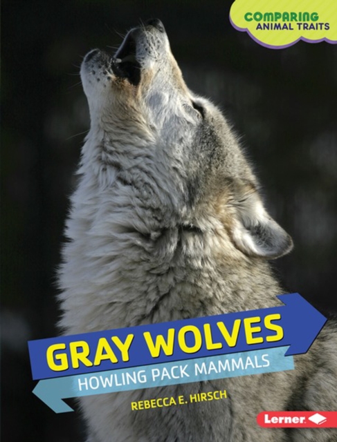 Gray Wolves : Howling Pack Mammals, PDF eBook